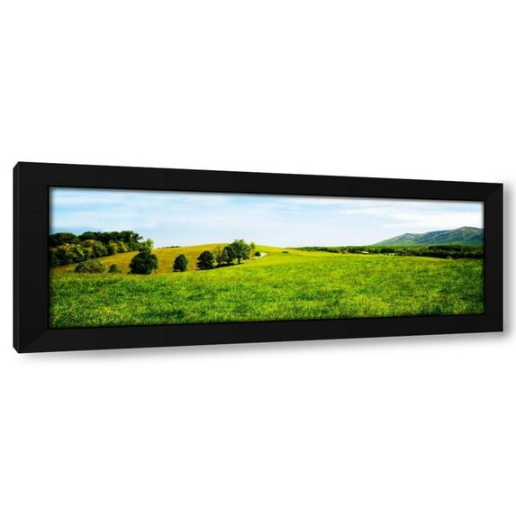 Alan Hausenflock 32x13 Black Modern Wood Framed Wall Art Titled - Mountain Vista I