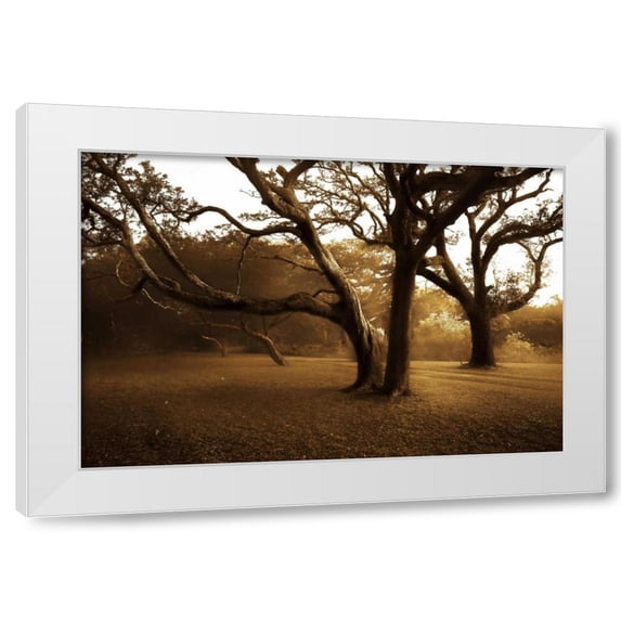 Alan Hausenflock 32x23 White Modern Wood Framed Wall Art Titled - Salvation Retreat II