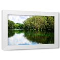 thumbnail image 1 of Alan Hausenflock 32x23 White Modern Wood Framed Wall Art Titled - Silver River VIII, 1 of 5