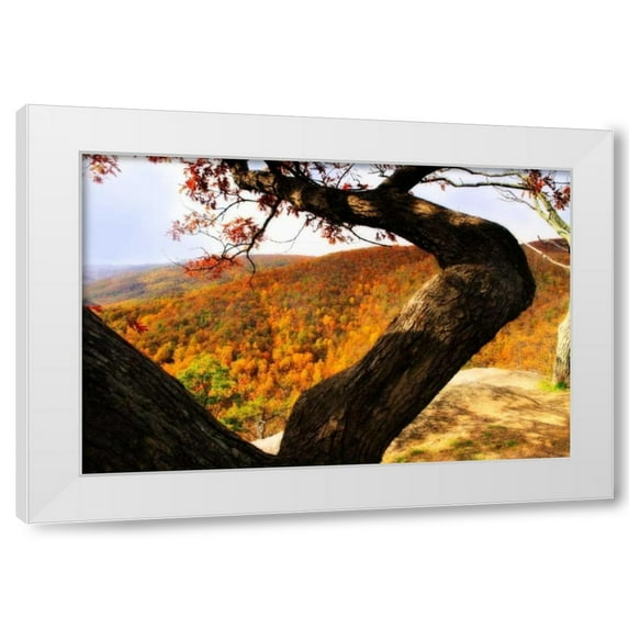 Alan Hausenflock 32x23 White Modern Wood Framed Wall Art Titled - Wildcat Ridge I