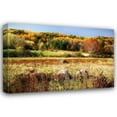thumbnail image 1 of Alan Hausenflock 44x31 Gallery Wrapped Canvas Wall Art Titled - Sperryville Fields II, 1 of 4