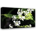 thumbnail image 1 of Alan Hausenflock 44x31 Gallery Wrapped Canvas Wall Art Titled - Vanda Orchids I, 1 of 4