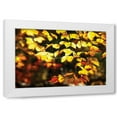 thumbnail image 1 of Alan Hausenflock 4x24 White Modern Wood Framed Wall Art Titled - Autumn Leaves II, 1 of 5
