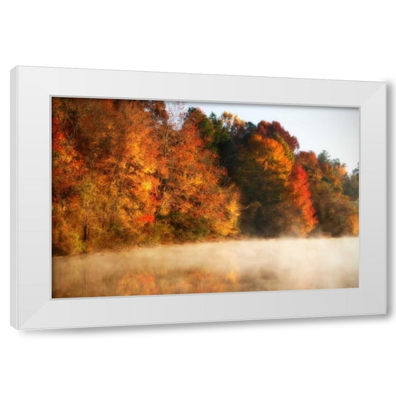 Alan Hausenflock 4x24 White Modern Wood Framed Wall Art Titled - Autumn Mist III