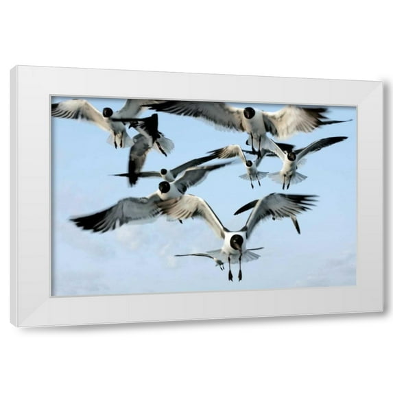 Alan Hausenflock 4x24 White Modern Wood Framed Wall Art Titled - Gulls II