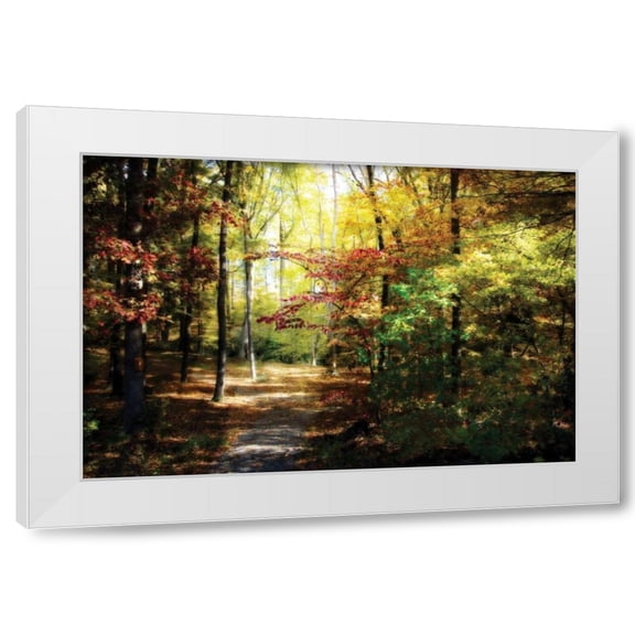 Alan Hausenflock 4x24 White Modern Wood Framed Wall Art Titled - Hanover Wayside I