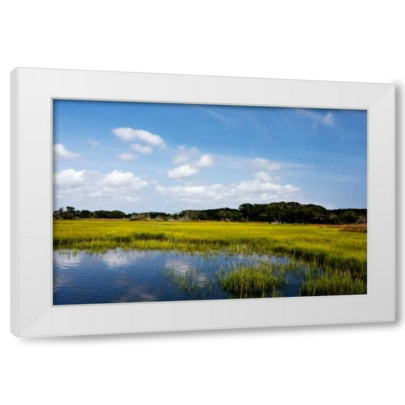 Alan Hausenflock 4x24 White Modern Wood Framed Wall Art Titled - Marshland II