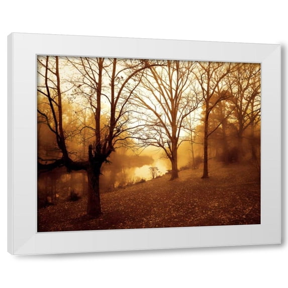 Alan Hausenflock 4x24 White Modern Wood Framed Wall Art Titled - Peaceful I