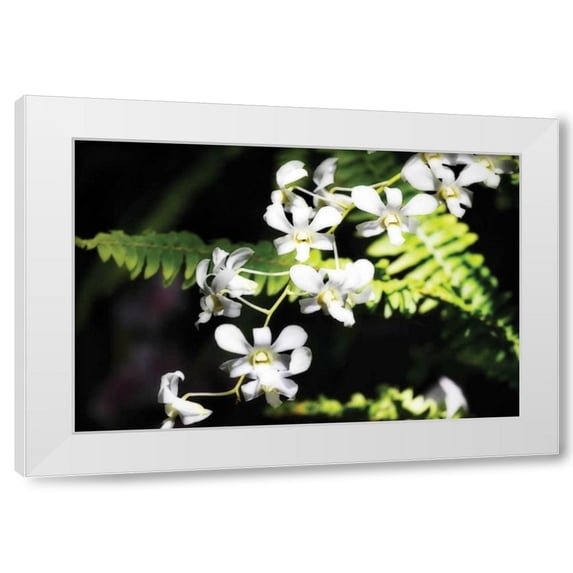 Alan Hausenflock 4x24 White Modern Wood Framed Wall Art Titled - Vanda Orchids I