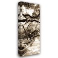 thumbnail image 1 of Alan Hausenflock 9x18 Gallery Wrapped Canvas Wall Art Titled - Savannah in Sepia II, 1 of 4
