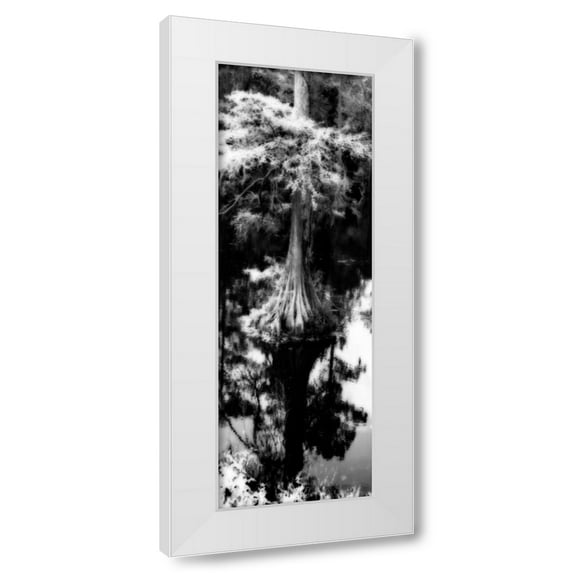 Alan Hausenflock 9x18 White Modern Wood Framed Wall Art Titled - Trenton Cyprus Panel I