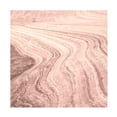 thumbnail image 1 of Alan Majchrowicz 'Coyote Buttes V Blush Crop' Canvas Art, 1 of 3