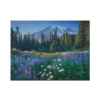 Alan Majchrowicz 'Mount Rainier' Wood Slat Art 12x16
