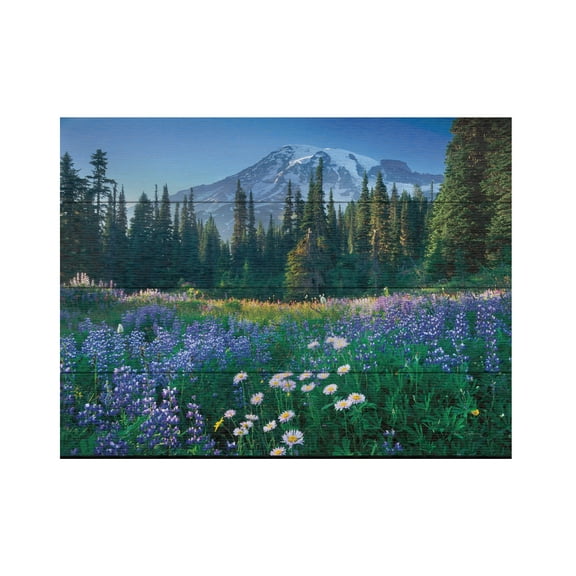 Alan Majchrowicz 'Mount Rainier' Wood Slat Art 12x16