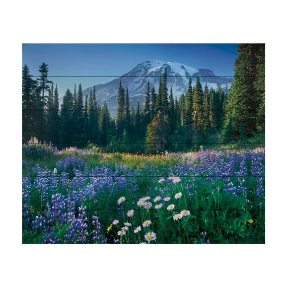 Alan Majchrowicz 'Mount Rainier' Wood Slat Art 18x22