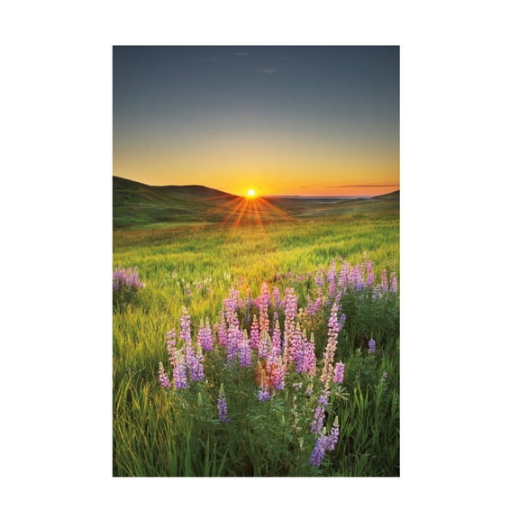 Alan Majchrowicz 'Prairie Sunrise' Canvas Art