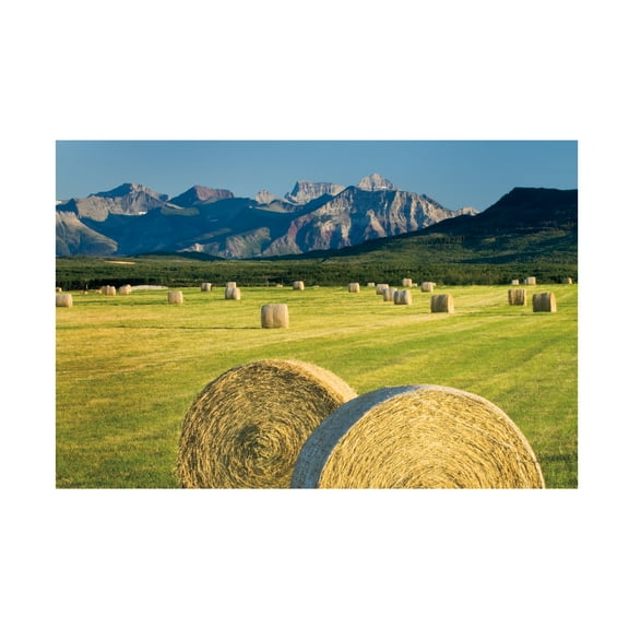 Alan Majchrowicz 'Waterton Hay Bales' Canvas Art