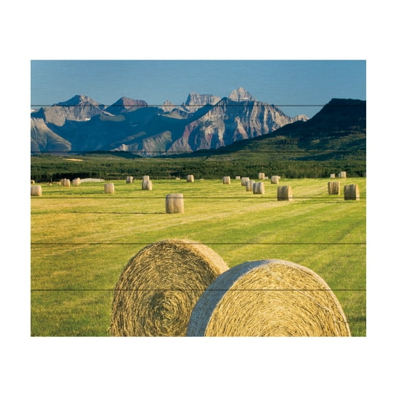Alan Majchrowicz 'Waterton Hay Bales' Wood Slat Art 18x22