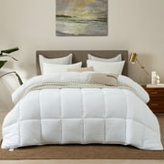 Alanzimo Down Alternative Queen Size Comforter Duvet inserts, All Season Breather Bedding White Comforter 90x90"