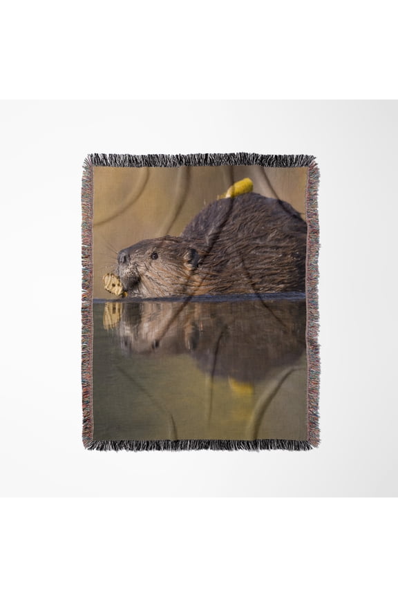 Alaska, Denali National Park, Beaver Wildlife - Us02 Pso0657 - Paul Souders, Woven Blanket