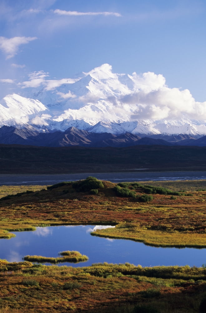 Alaska Denali National Park Denali Tundra Pond Mountains In Background Canvas Art - John Hyde Design Pics (22 x 34)