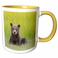 thumbnail image 1 of 3drose, Alaska. Grizzly Bear Cub Sits in a Meadow in Lake Clark Np., 15oz Two-tone Yellow Mug, 1 of 6