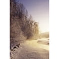 Alaska Haines Bald Eagle Preserve Bald Eagles In Trees Along Snowy ...