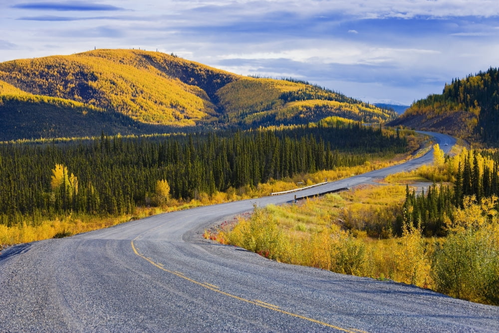 Alaska Highway Near Beaver Creek And Fall Colours Yukon Canvas Art - Yves Marcoux Design Pics (34 x 22)