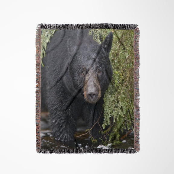 Alaska, Kake, Black Bear, Chum Salmon Fish - Us02 Pso0773 - Paul Souders, Woven Blanket