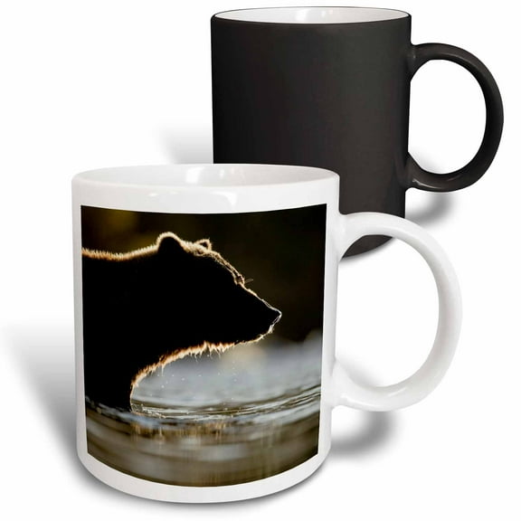 3drose, Alaska, Katmai National Park, Grizzly Bear - Us02 Pso1294 - Paul Souders, 11oz Magic Transforming Mug
