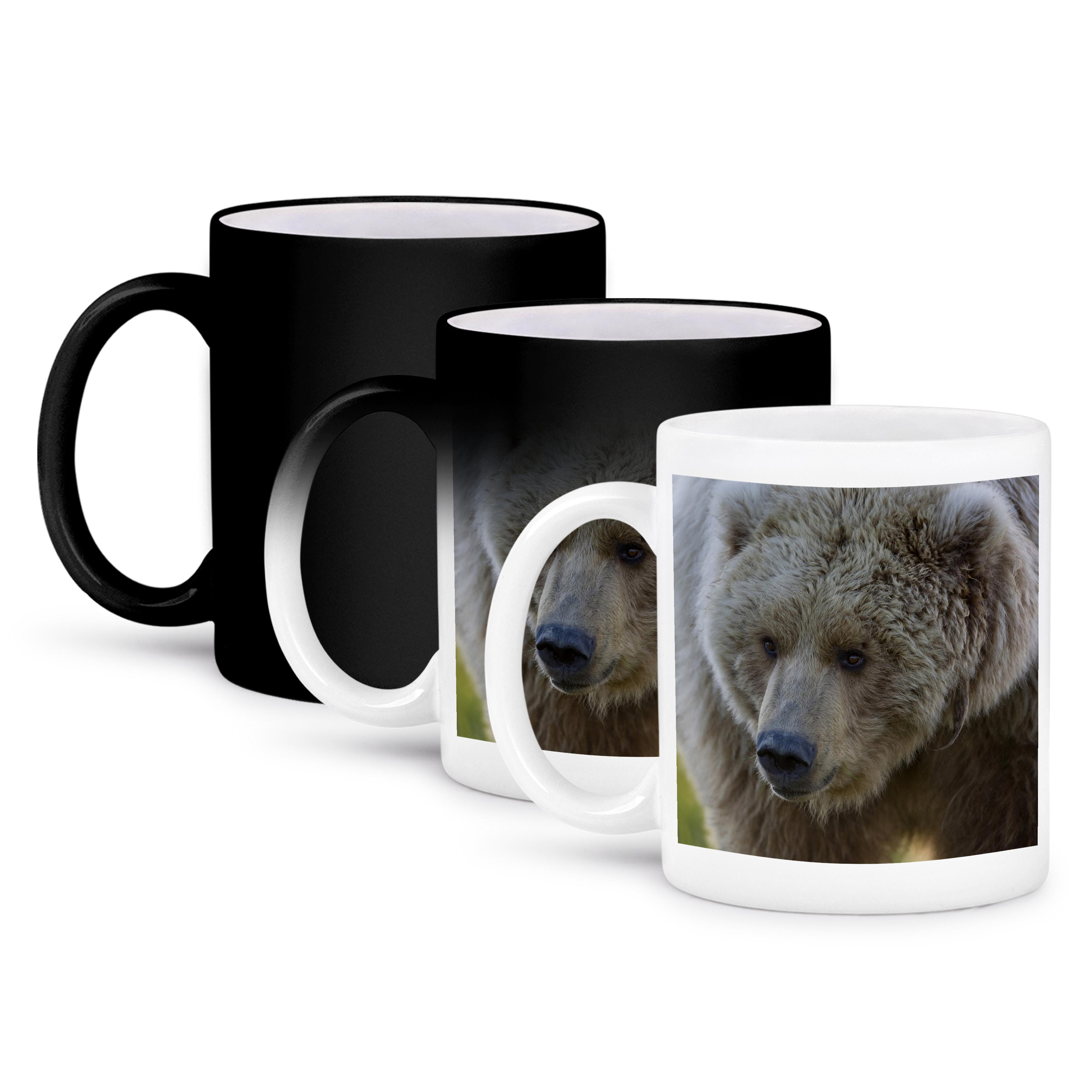 Alaska Grizzly Bear Design 3dRose Heat-Activated Mug - Alaska Grizzly Bear  Photo Mug, Black To White Color Changing 11 Oz Cup Color Changing Coffee Mug