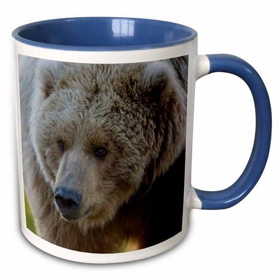 3drose, Alaska, Katmai Np, Brown Bear, Hallo Bay - Us02 Pso0809 - Paul Souders, 15oz Two-tone Blue Mug