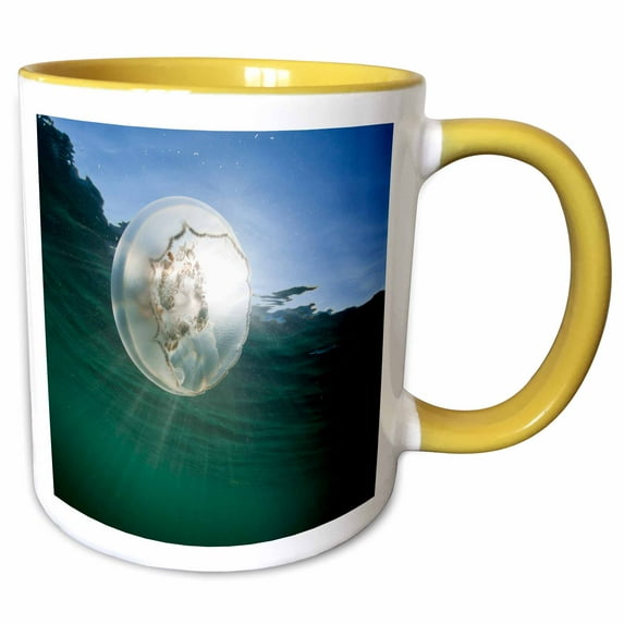 3drose, Alaska, Katmai Np, Moon Jellyfish, Kuliak Bay - Us02 Pso1354 - Paul Souders, 15oz Two-tone Yellow Mug