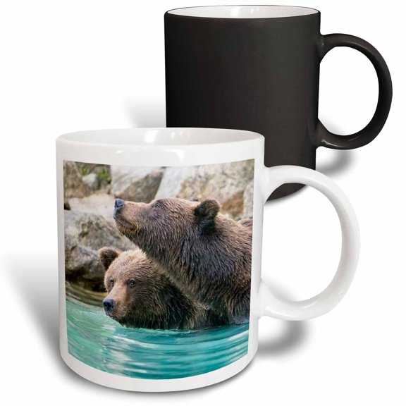 3drose, Alaska, Lake Clark. Headshots of Two Grizzly Bears Swimming., 11oz Magic Transforming Mug