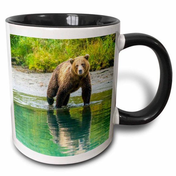 3drose, Alaska, Lake Clark. Young Grizzly Bear Walks the Shoreline., 11oz Two-tone Black Mug
