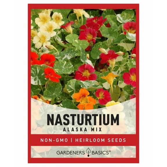 Alaska Mix Nasturtium Seeds