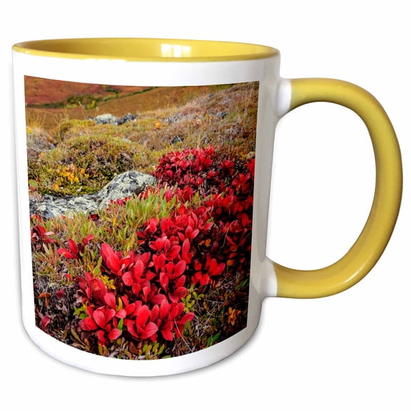 3drose, Alaska, Noatak National Preserve. Alpine Bearberry in Autumn Colors., 11oz Two-tone Yellow Mug