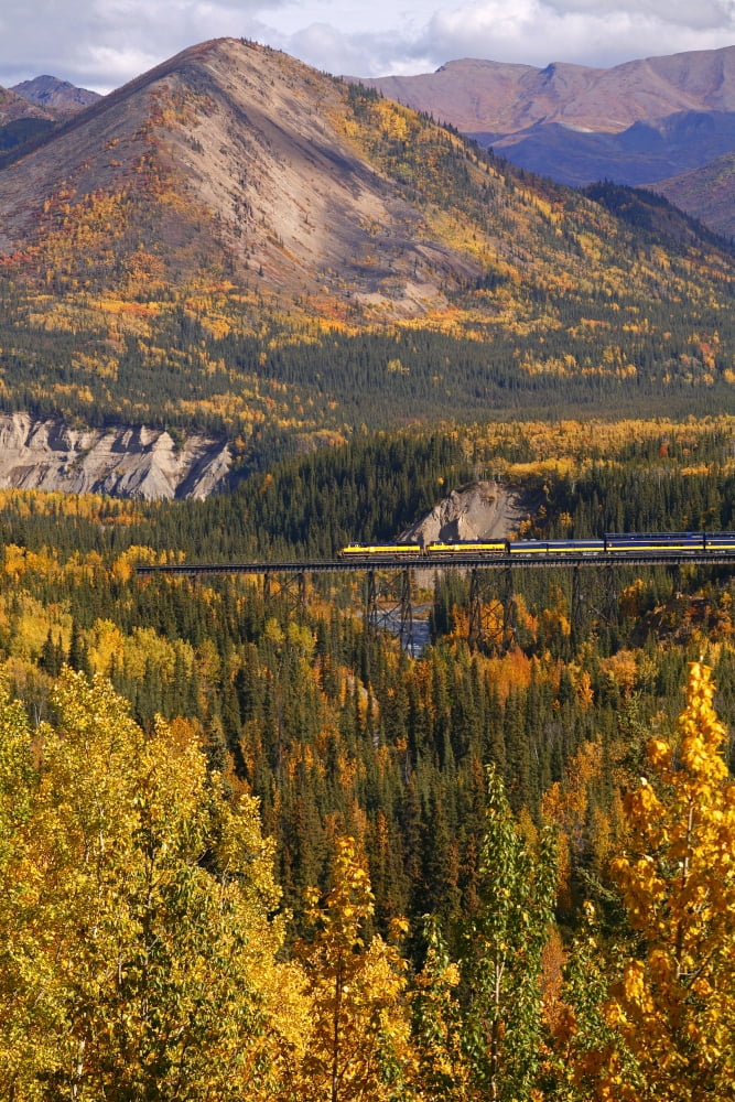 Alaska Railroad Train Crossing A Tressel At Denali National Park Interior Alaska Fall Canvas Art - Calvin Hall Design Pics (11 x 17)