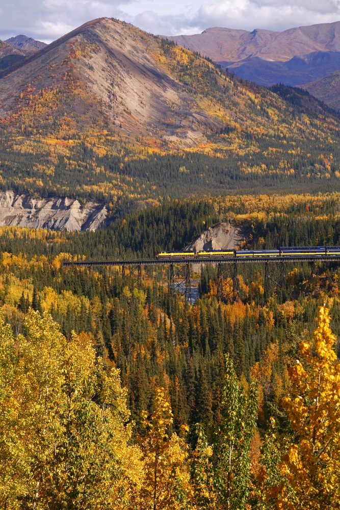 Alaska Railroad Train Crossing A Tressel At Denali National Park Interior Alaska Fall Canvas Art - Calvin Hall Design Pics (22 x 34)