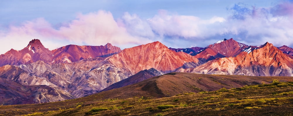 Alaska Range And Fall Colours At Sunset Denali National Park Alaska Canvas Art - Yves Marcoux Design Pics (44 x 18)