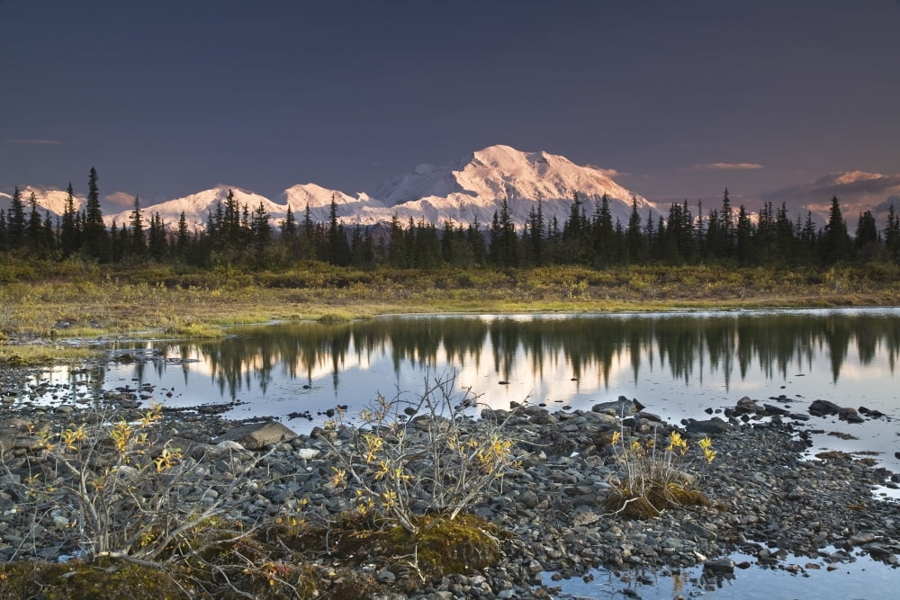 The Alaska Range And Denalis North Face Are Reflected In Small Tundra Pond In Denali National Park Alaska Fall 2008 Canvas Art - John Delapp Design Pics (17 x 11)