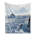 thumbnail image 1 of Alaska Soft Flannel Fleece Blanket, Arctic Winter with Ice Lake Photo from the Northern Part of World Cold Wilderness, Cozy Plush for Indoor and Outdoor Use, 70" x 90", White Brown, by Ambesonne, 1 of 5