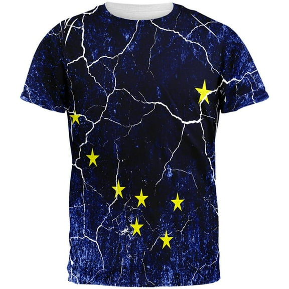 Alaska Vintage Distressed State Flag All Over Mens T Shirt Multi MD
