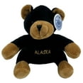 thumbnail image 1 of Alaskagift Ak Black Bear 6 Inch Plush, 1 of 5