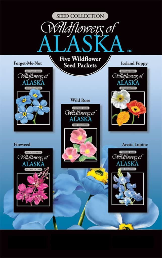 Alaskagift Ak Wildflower Seed Postcard Set
