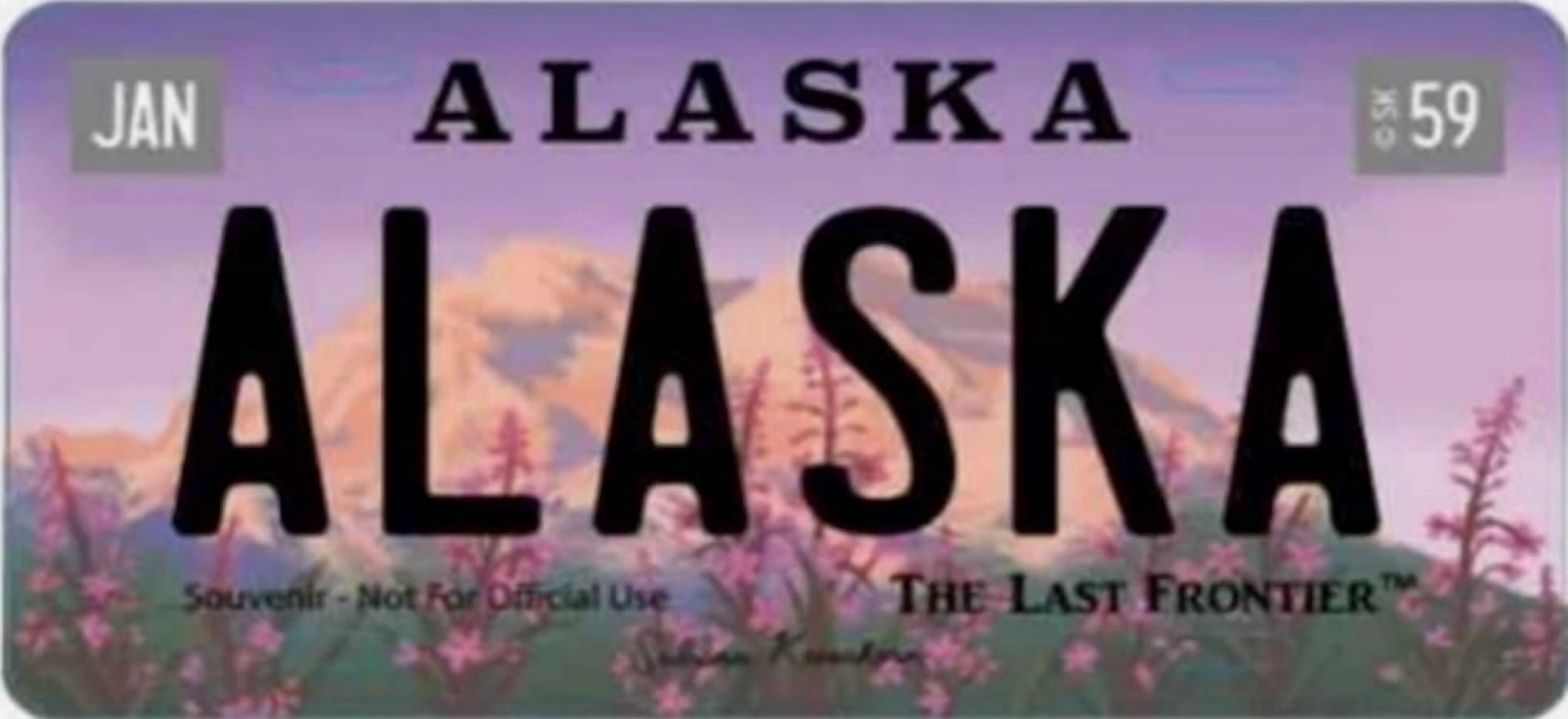 Alaskagift Fireweed License Plate  Full Size