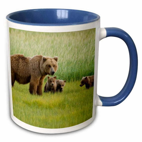 3drose, Alaskan Brown Bears, Katmai National Park, Alaska - Us02 Hga0113 - Howie Garber, 11oz Two-tone Blue Mug