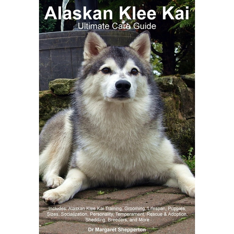 5 Facts About Alaskan Klee Kai