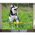 thumbnail image 1 of Ambesonne Alaskan Malamute Curtains 2 Panel Set, Puppy on Grass, 108" x 63", Multicolor, 1 of 3