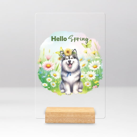 Alaskan Malamute Hello Spring Time Flower Floral Nature Acrylic Plaque Sign Ashwood Base Alaska Mal Dog Lovers Gifts Home Desk Decor - 02031